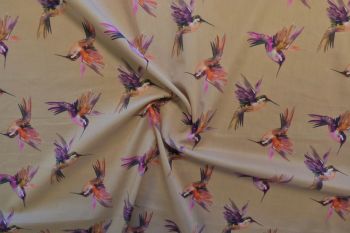 Lady McElroy Arizona Hummingbirds - Natural - Remnant - 2.3m