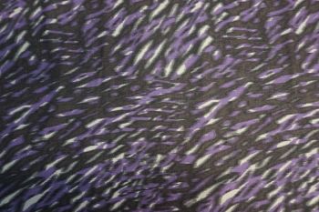 Lady McElroy Marilino - Orchid - Remnant - 1m