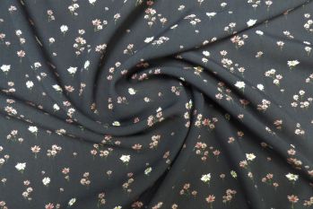 Lady McElroy Sundown Daisies