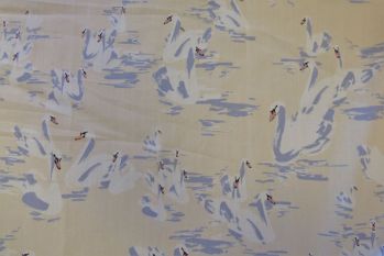 Lady McElroy Swan Lake - Remnant - 3m